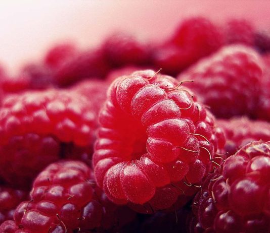 The bedding was hardly able to cover it and seemed ready