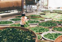 While the lovely valley teems with