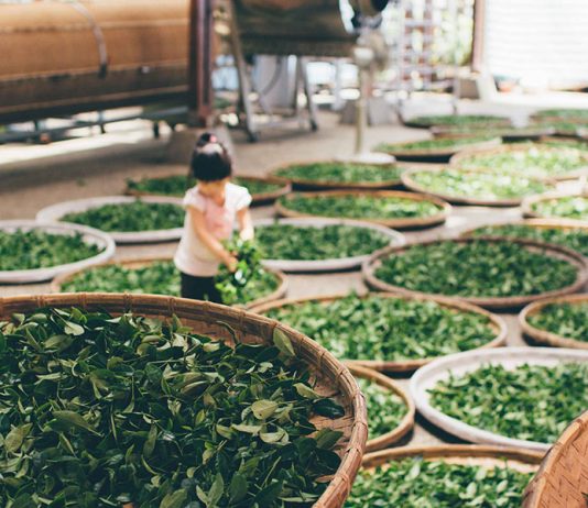 While the lovely valley teems with